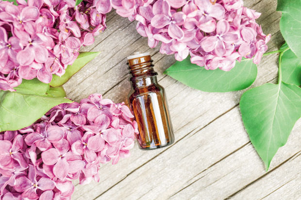 Пролећни пупољци извор здравља 